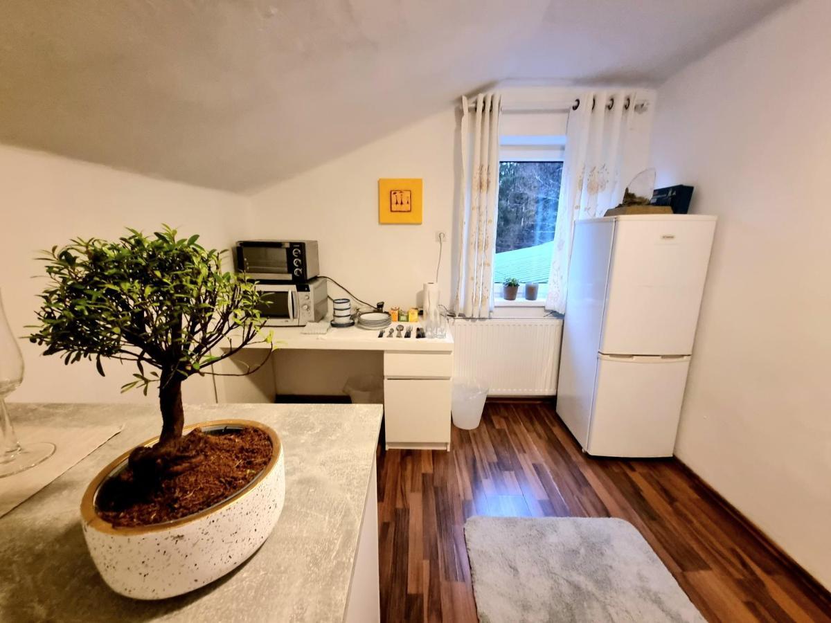 Salzburg Living Διαμέρισμα Guggenthal Εξωτερικό φωτογραφία